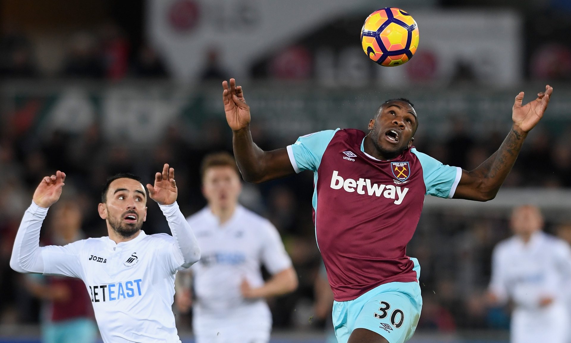 了哈维与巴 了哈维与巴